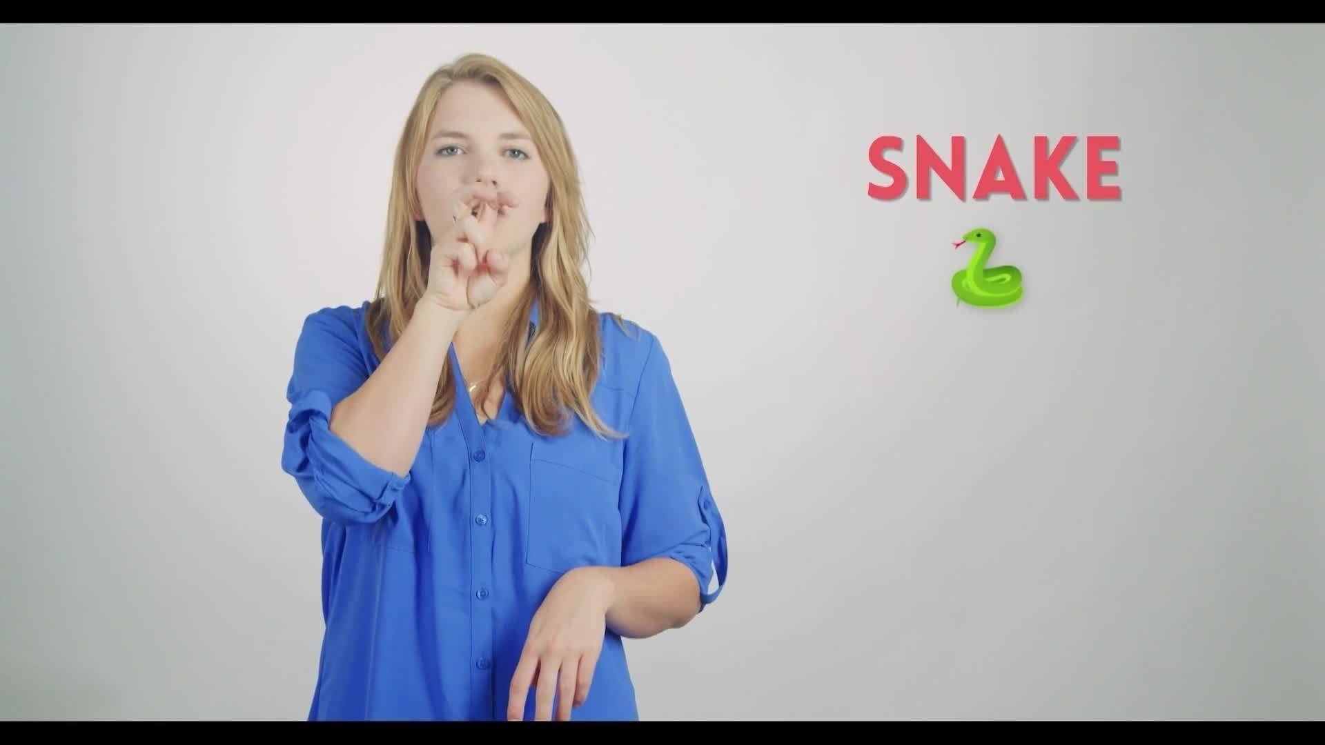 ASL- Pets and Ocean Animals Vocabulary - Kidzovo