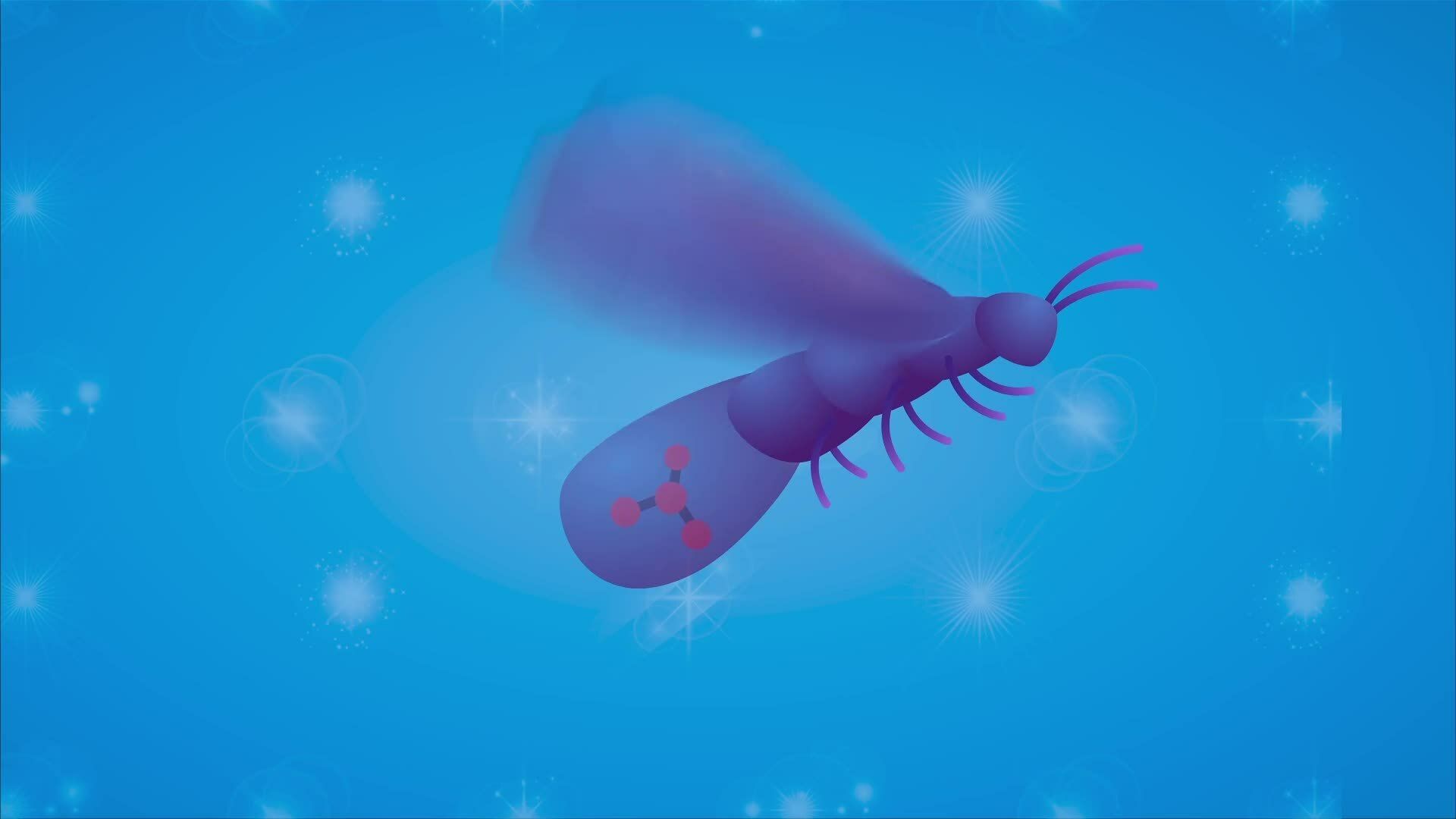 I WONDER - How Do Some Animals Glow? - Kidzovo