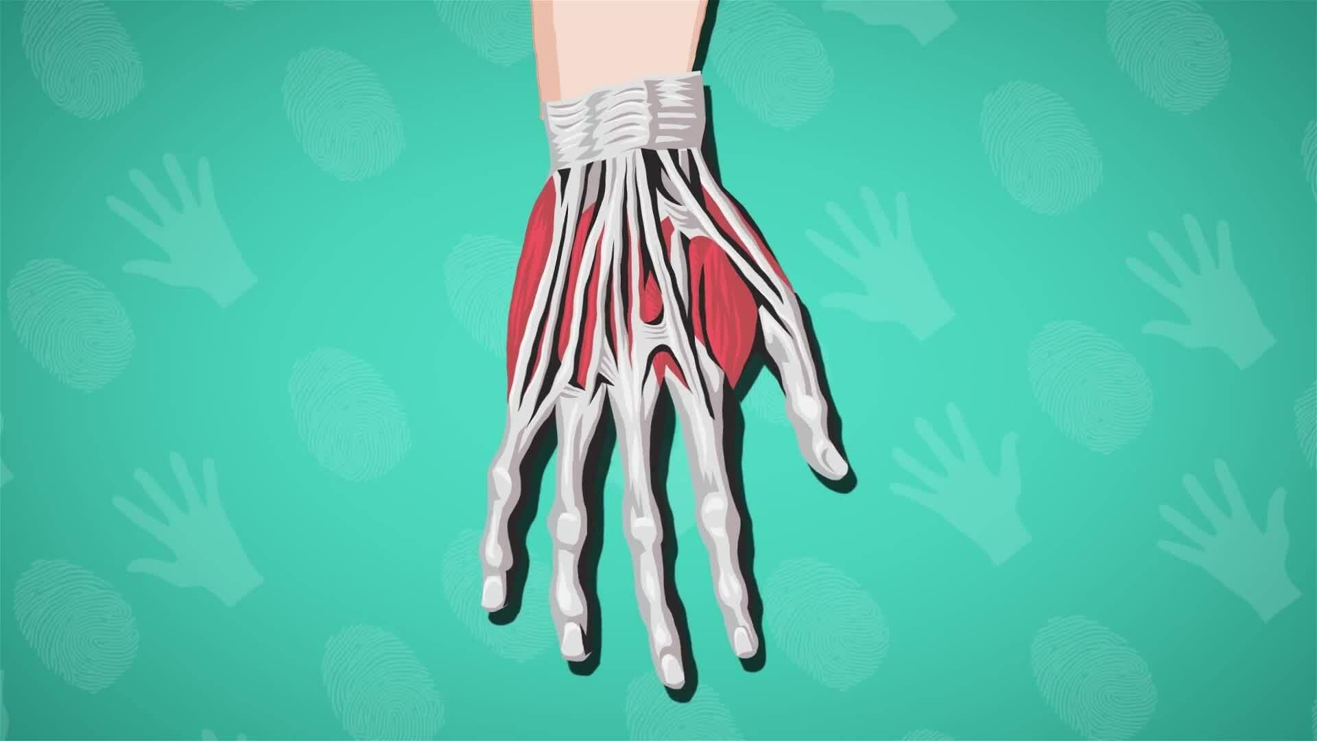 I WONDER - How Do The Fingers Move? - Kidzovo