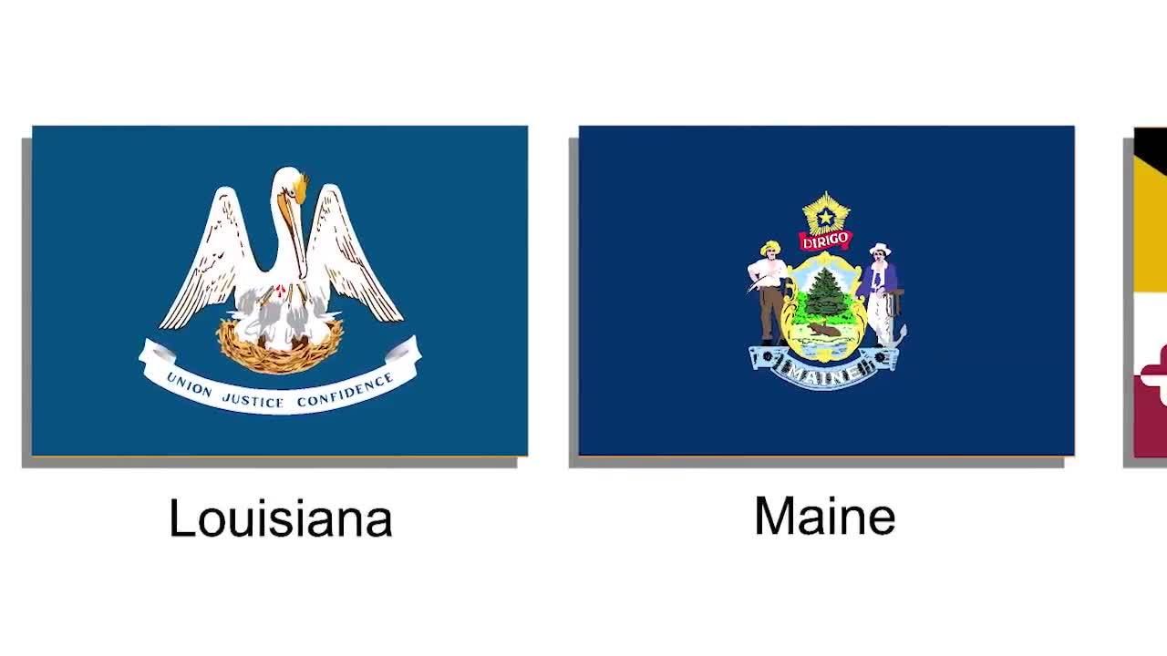State Flags! Learn USA State Flags for Kids - Kidzovo