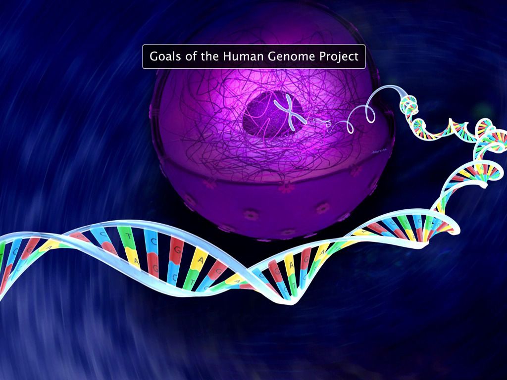 Human Genome Project - Kidzovo