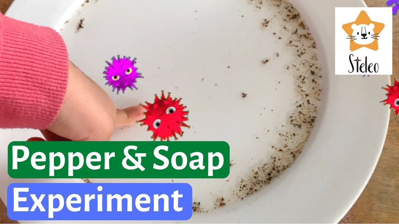 Water and Pepper Experiment - Kidzovo