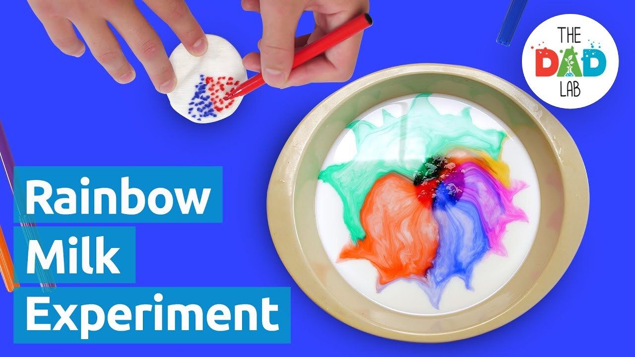 Science Experiment: Magic Milk - Kidzovo