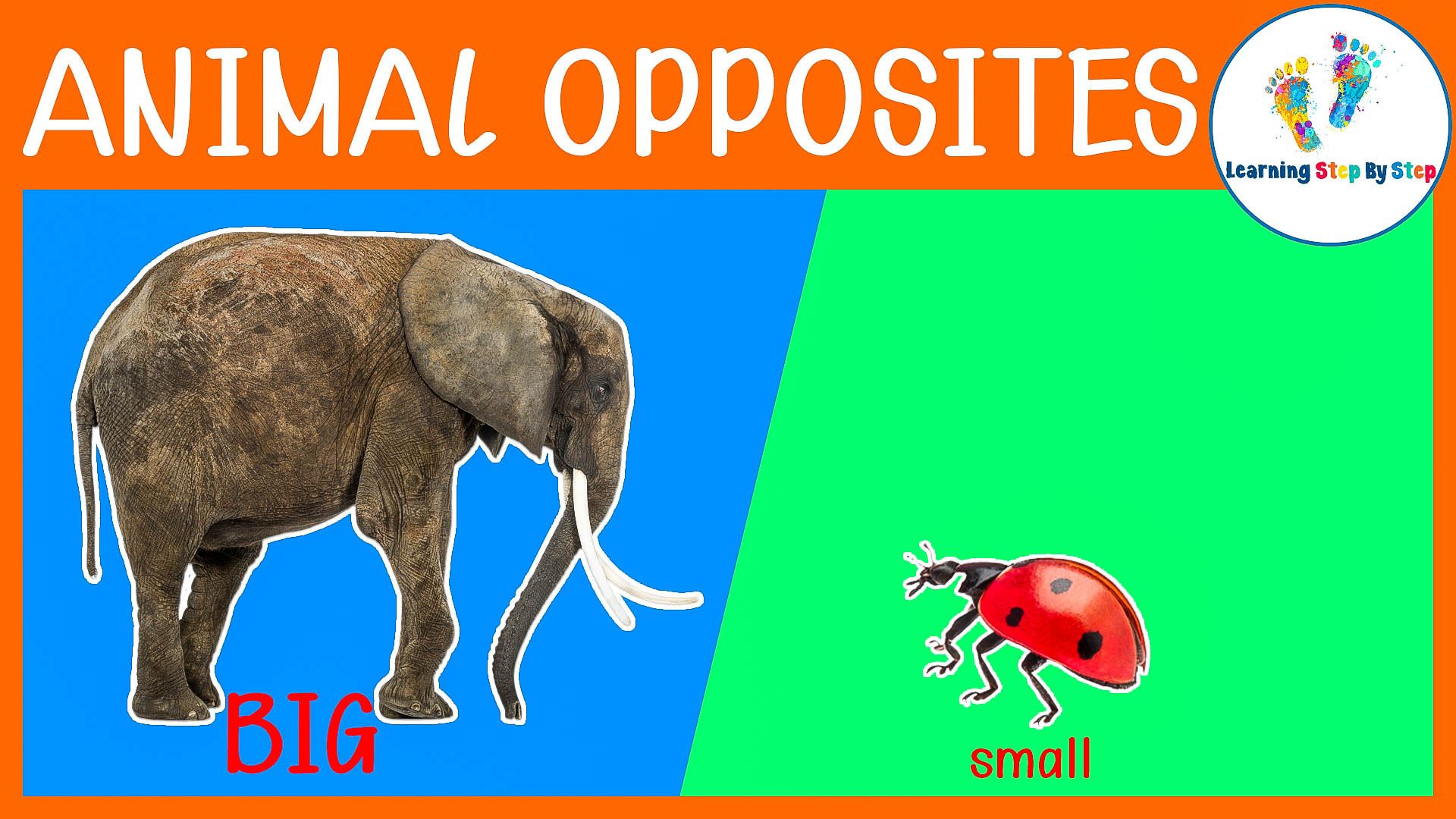 Learn Opposites with Animals For Kids - Kidzovo