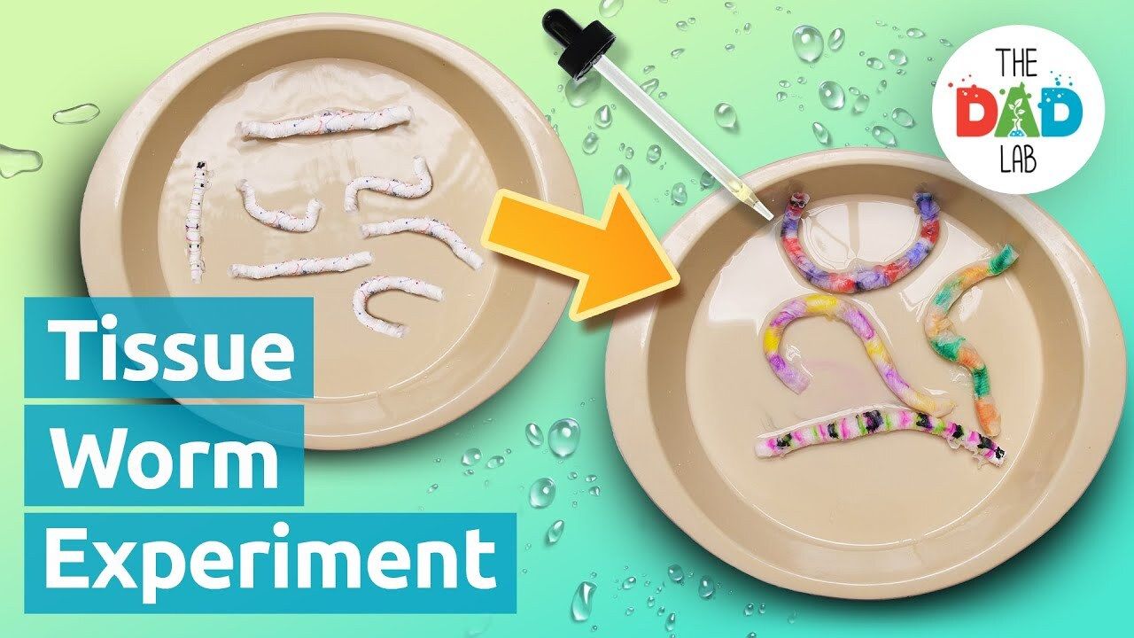 Science Experiment: Tissue Wiggly Worm - Kidzovo