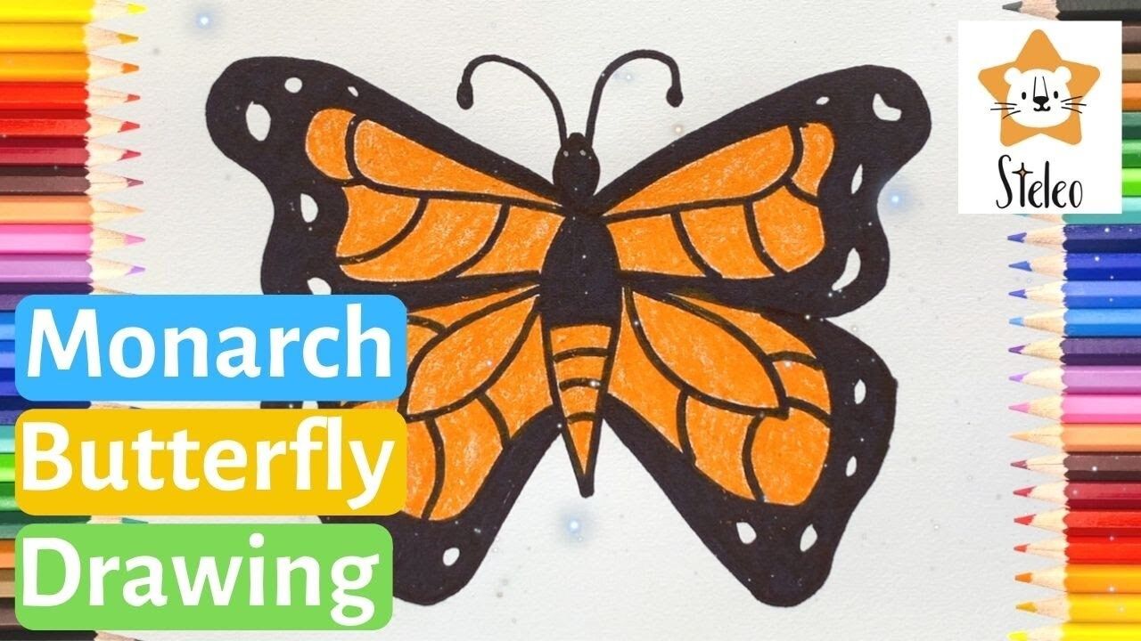 How To Draw A Monarch Butterfly - Kidzovo